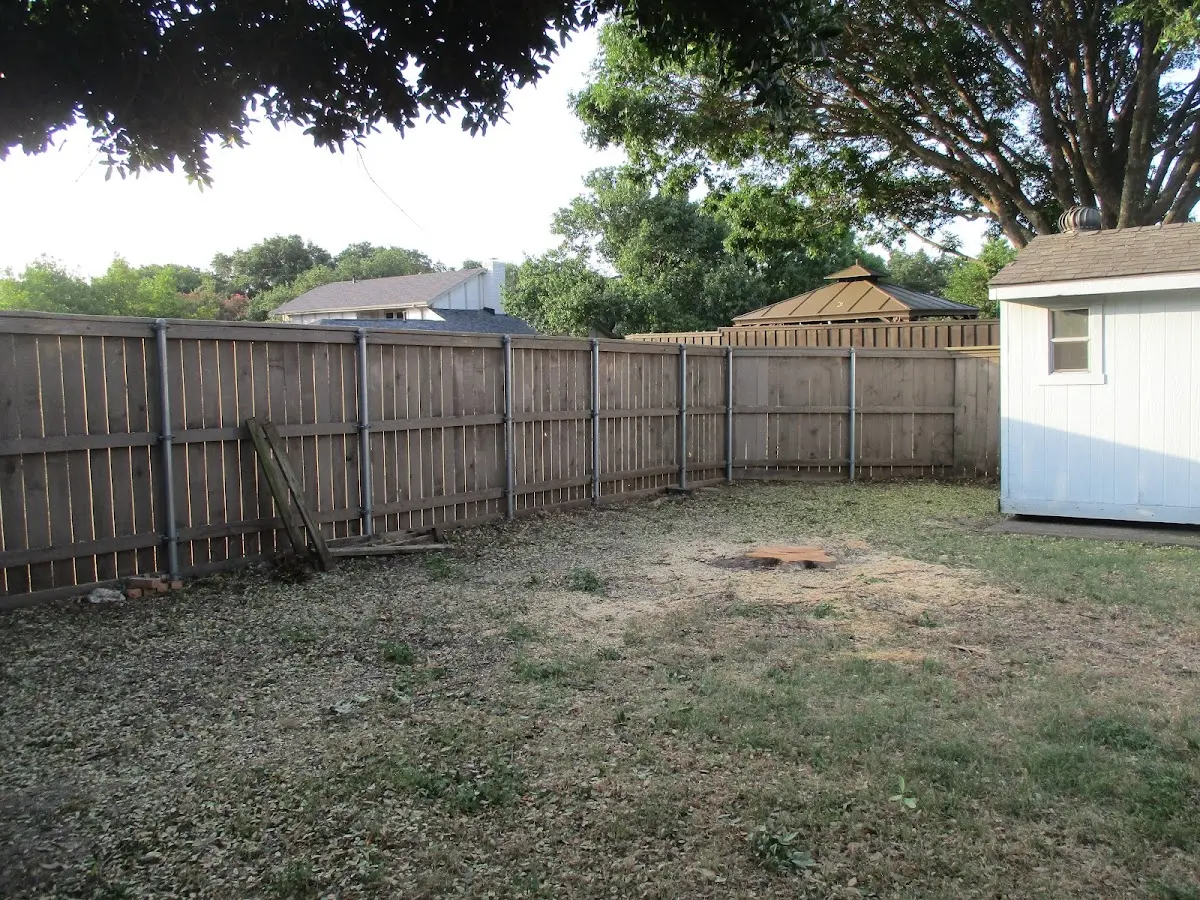 Cleared yard after professional tree removal in Provincetown